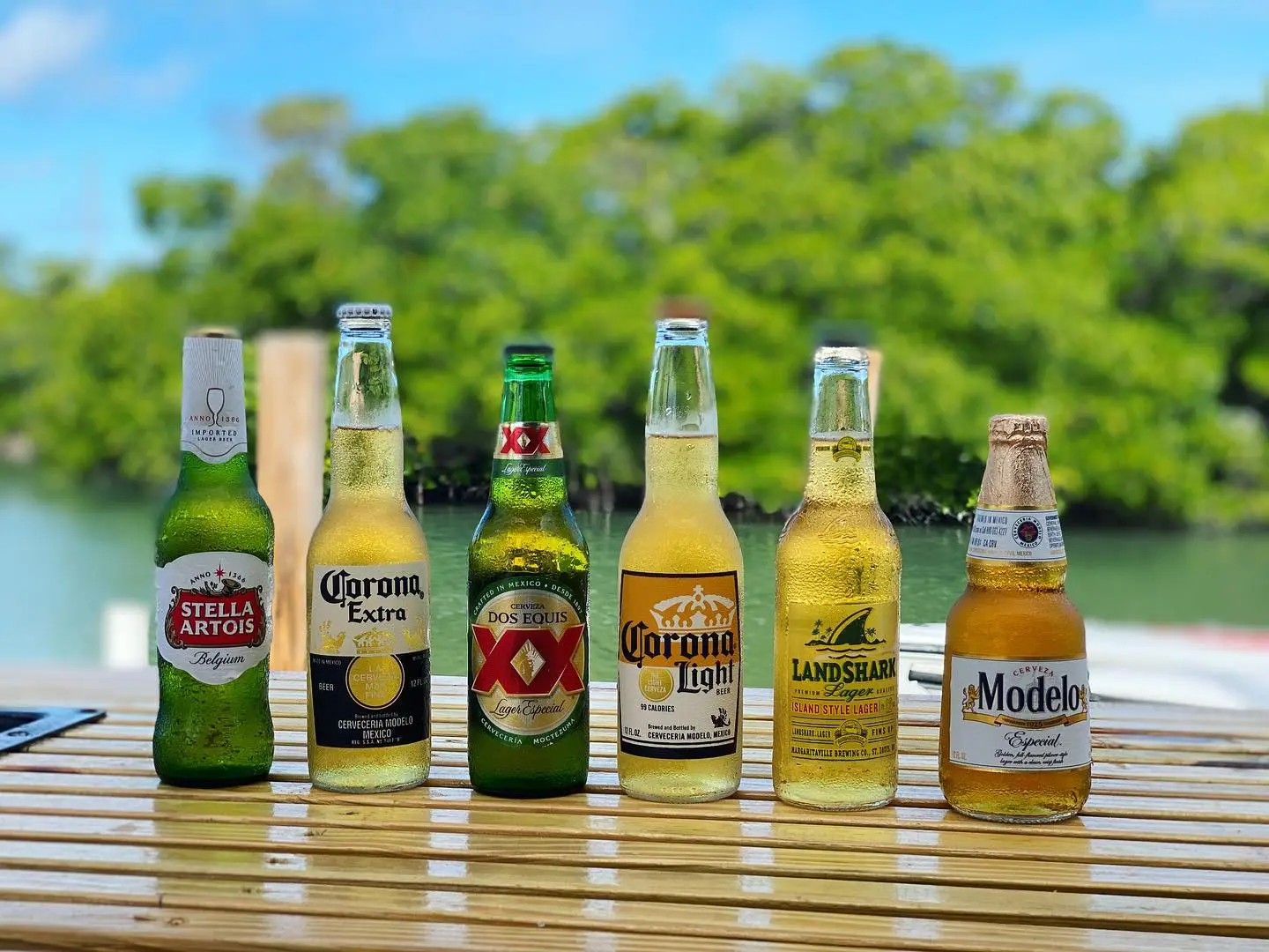 an empty bottle on a table