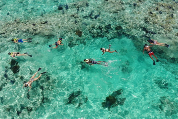 a group of people swimming in a body of water