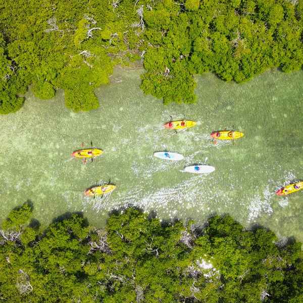 a group of people in the water