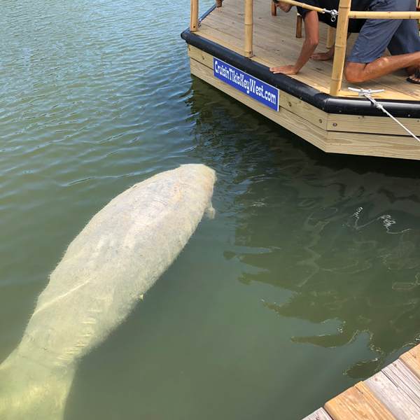 a small boat in a body of water