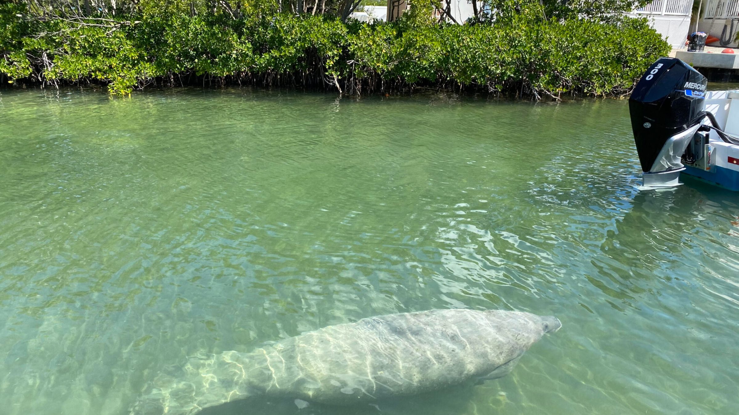 a man riding on the back of a boat in the water