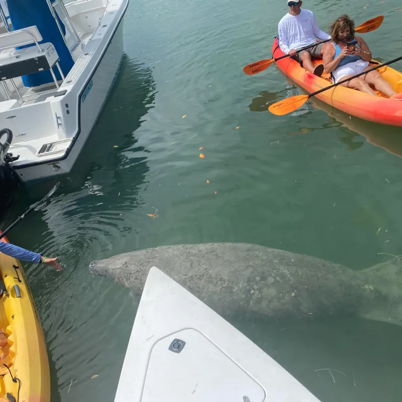 a boat that is floating in the water
