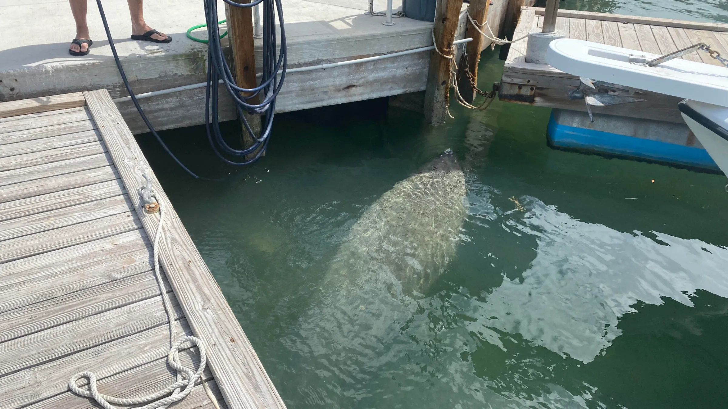 a person sitting at a dock