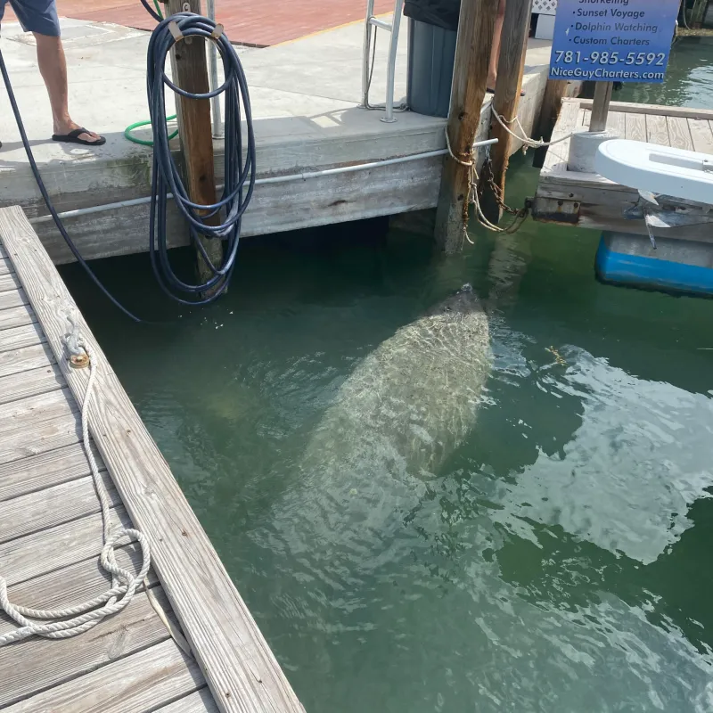 a person sitting at a dock